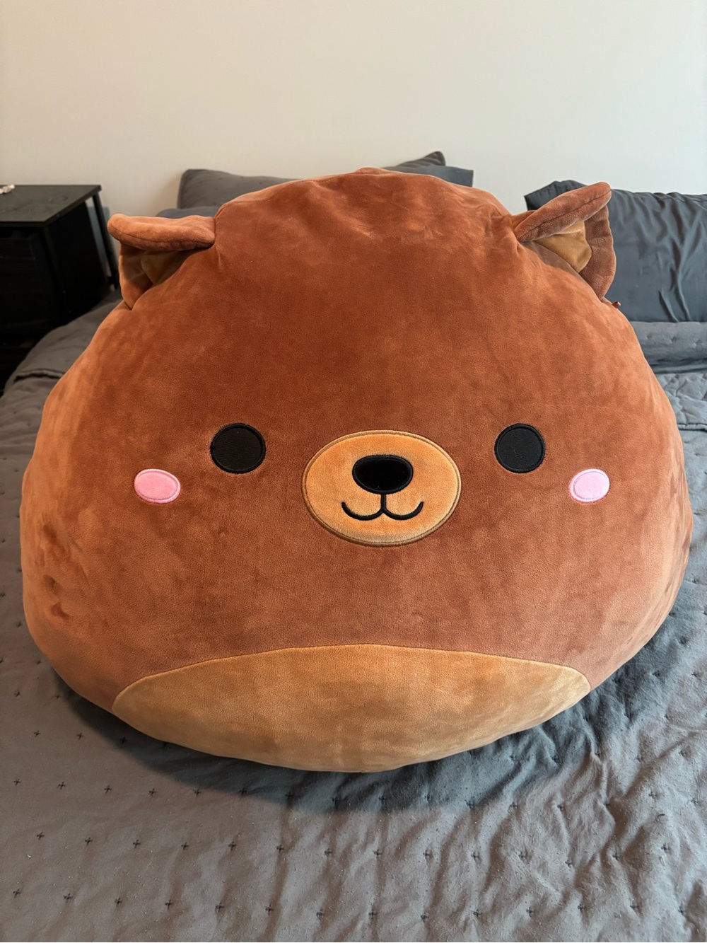 Omar the brown bear 24” squishmallow
